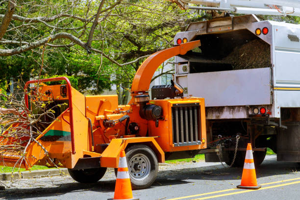 Mulching Services in Marked Tree, AR